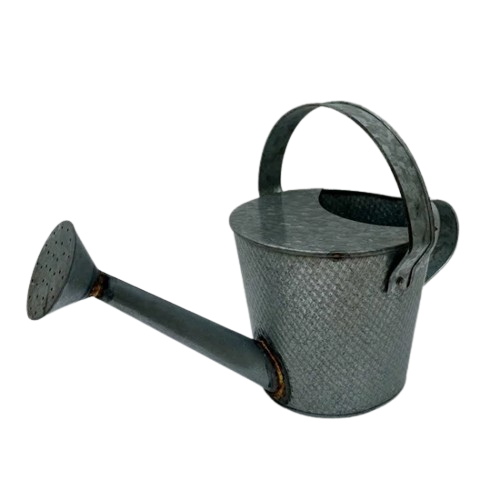 IRON WATER CAN (NATURAL)